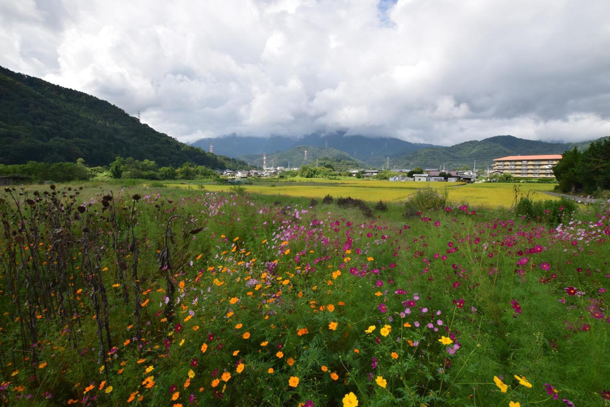 Villa Gate Yamanashi Tsuru Exterior foto